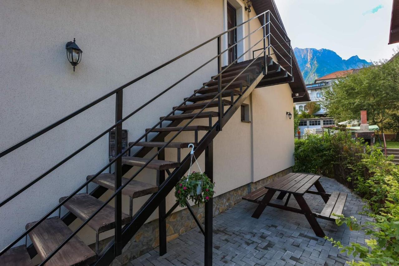 Casa Andy Hotel Buşteni Екстериор снимка