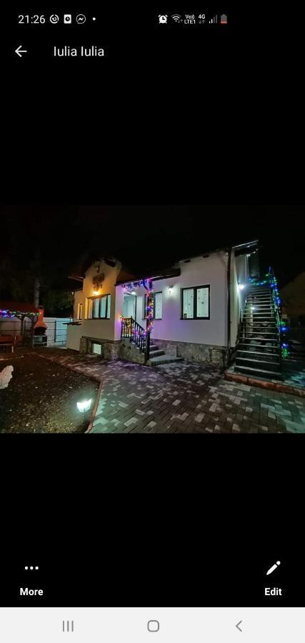 Casa Andy Hotel Buşteni Екстериор снимка