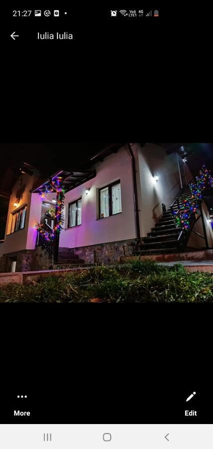 Casa Andy Hotel Buşteni Екстериор снимка